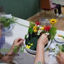 대구힐링원예치료센터