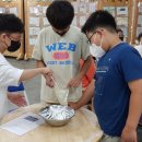 배곧초등학교 이미지