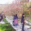 정선농장 이미지