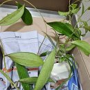 털보네농장 이미지