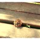 금강여인숙 이미지