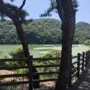 카페게이트울산