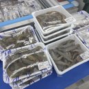 (주)오케이게임넷 | 1박2일 경기도 근교 대부도 여행 단체여행 커플여행