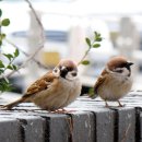 신성초등학교 이미지