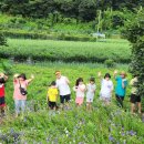 구마이오토캠핑장 이미지