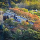 경주솔거미술관 이미지