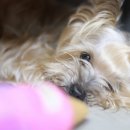 클러스터라운드 이미지