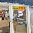 구이가 티스토리