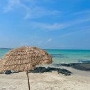 트립인(Trip inn) 이미지