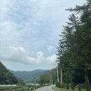 [공지] 밤에는 은하수가 아침에는 운해가 절경인 영월쉼오지캠프 전사이트 신규I,J,K포함 방문후기