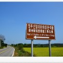 영주읍내리석조여래좌상 이미지