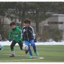 동곡초 이미지