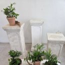 플로리스트 | 🌿 내일배움카드 플로리스트 수업 후기: 초화심기 🌿