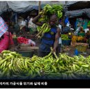 초가공 식품, 공중 보건 위협 - 연구자들 이미지