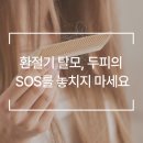 웰킨 청량리점