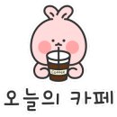빙고 애견카페 이미지
