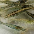 정림농장 이미지