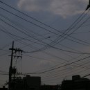 하늘전기 이미지