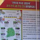 광판팔뚝김밥김유정역점 이미지