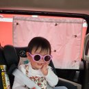 제이앤팜 | 제이앤파크호텔 숙박 후기