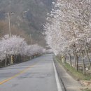 용문정 앞 Daum카페