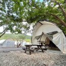 와이글램핑 | 충청남도 아산시 와이(Y)글램핑, 연락처, 위치, 후기