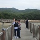 구월생