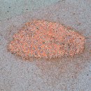 장신휴먼시아3단지 이미지