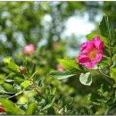 김병기농장 이미지