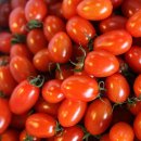 토마토 - 부평구 주부토로22번길 10-1 | 토마토