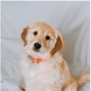 안녕하세요 이미지