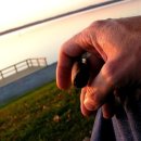 코넬비뇨기과의원 이미지