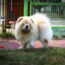 애개 하우스 이미지