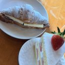 오동동001 이미지