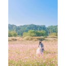 혜자 이미지