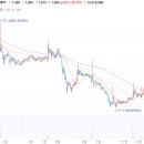 대정헬스케어 이미지