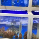 스끼다시천국 이미지