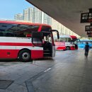 올리브게임랜드 이미지