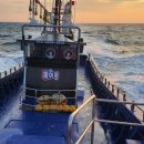 마축항(후포면) 이미지