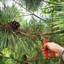 영부농장 이미지