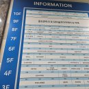 동탄순환대로18길L | 동탄 필라테스 l 동탄 그룹 필라테스 온필라테스 동탄 호수공원점 솔직 후기