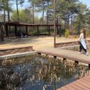 대화 체육관 이미지