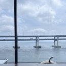 대교양고기 이미지