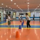 석사 명성태권도 이미지