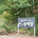 제주교래승마장