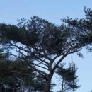 알콜램프 이미지