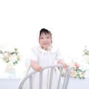 노란꽃민들레사진관