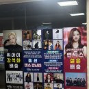 엔믹스 설윤, 베베 소원도 여기서! 대전 댄스보컬학원 뚝딱이 성인 수강 후기/ 취미활동