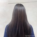마네르(manere)