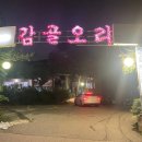감골 | [동탄 오리고기 맛집] &#39;감골오리&#39; 내돈내산 후기, 인생 소스와 오리부추구이의 만남!